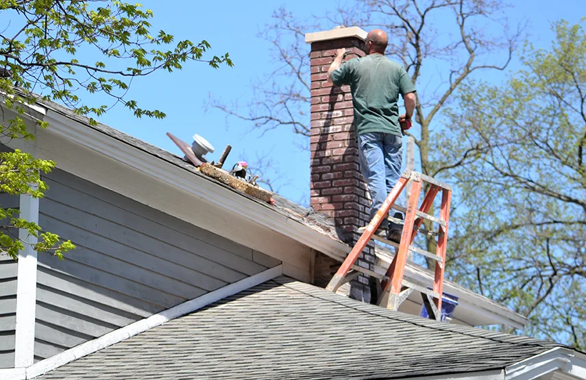 Chimney & Fireplace Inspections Services in Pottstown, PA